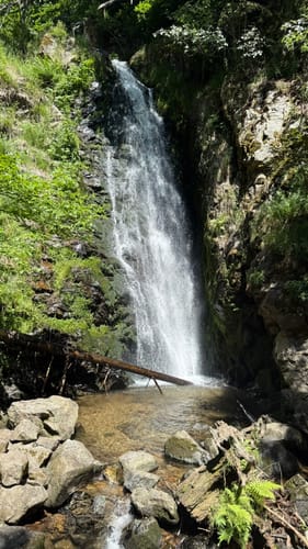 Wasserfallsteig Todtnau (Genießerpfad)