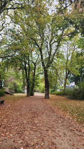 Moselsteig Etappe 5: Trier - Schweich