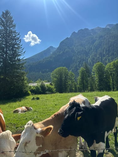 Seeklause - Ragertalm im Klausbachtal