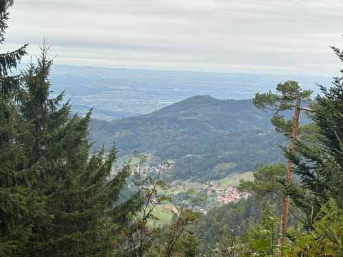 Von Ruhestein zum Wildsee