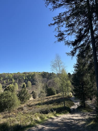 Von Behringen nach Wilsede über die Lüneburger Heide