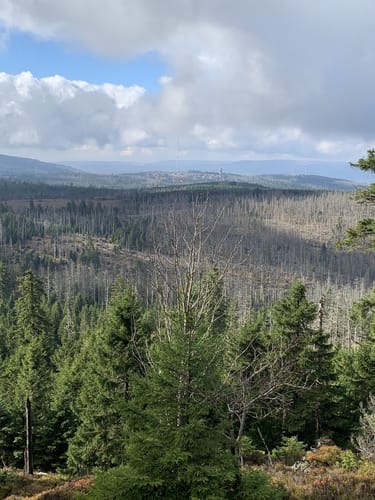 Auf dem Goetheweg zum Brocken