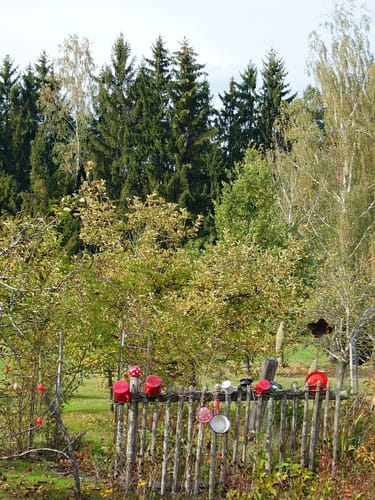 Seesrestaurant Erlauzwiesel über Jandelsbrunn
