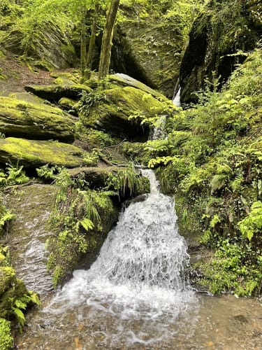 Ehrbachklamm (Traumschleife)