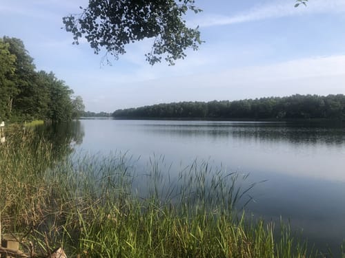 66-Seen-Rundweg Etappe 5: Wensickendorf - Melchow