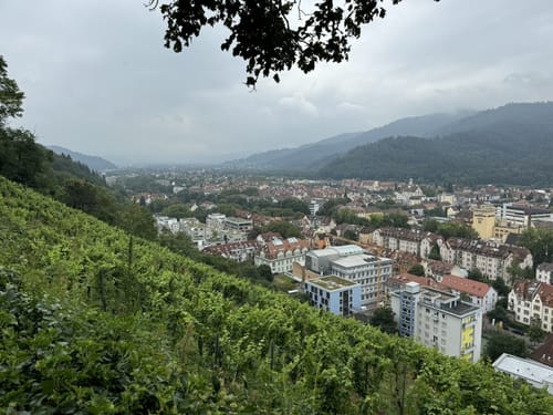 Schlossberg Runde Freiburg