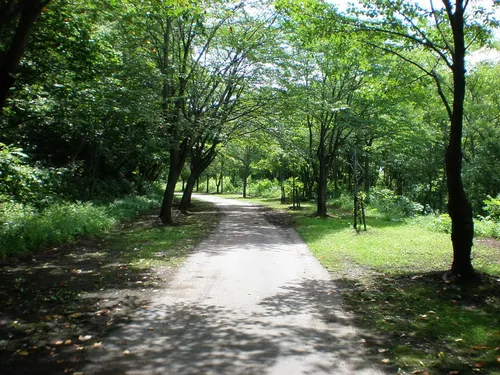 神居古潭おう穴群- hikes and trails to get you there | AllTrails