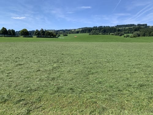 Um den Grüntensee