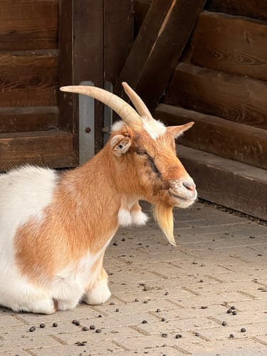 Kleine Schweiz - Schlammteich Rundwanderung