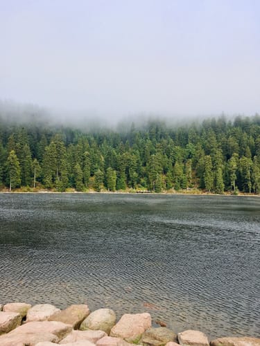 Mummelsee-Hornisgrindepfad