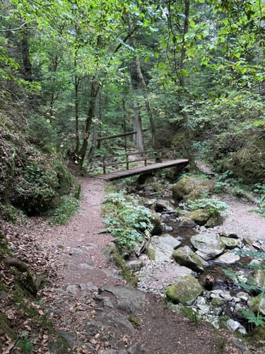 Wutachschlucht Rundweg [CLOSED]