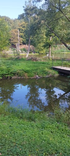 Deutscher-Französischer Garten