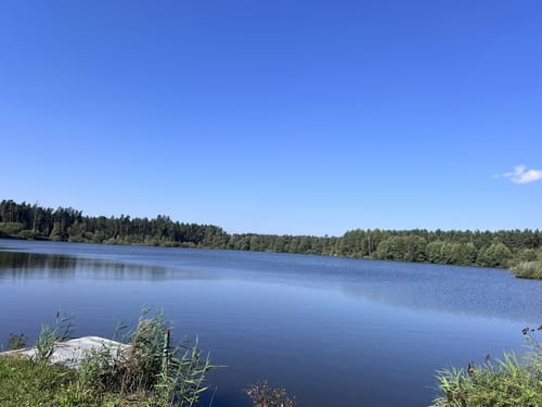 Rußweiher Rundweg