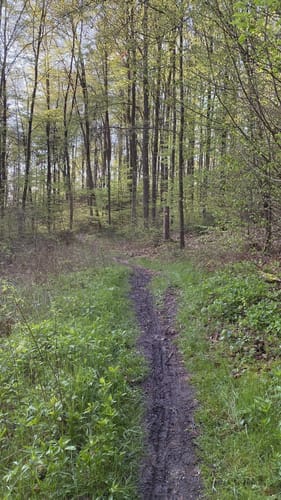 Altmühltal-Panoramaweg Etappe 9: Walting - Kipfenberg
