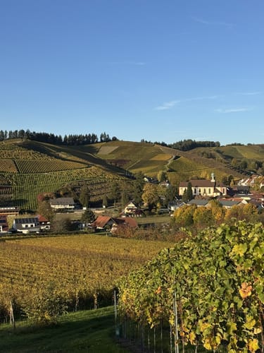 Durbacher Weitblick (Premiumwanderweg)