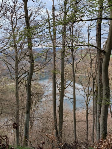 Knorreichenstieg am Edersee