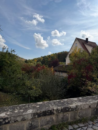 Wanne - Leichts weg -Friedwald Schönbuch