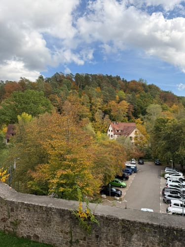 Wanne - Leichts weg -Friedwald Schönbuch