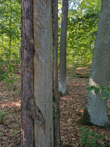 Sarcower See - Jungfernsee - Schlosspark Sacrow