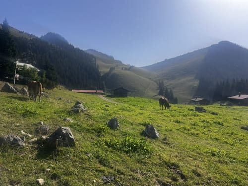 Spitzingalm - Aiplspitz