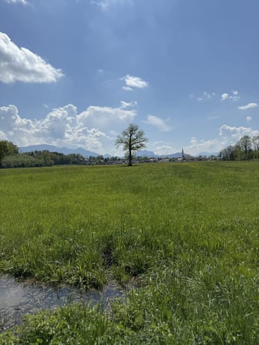 Simssee Nordic Walking - Rot