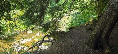 Wutachschlucht Rundweg [CLOSED]