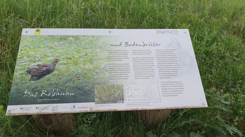 Tütsberg - Wulfsberg - Twieselmoor