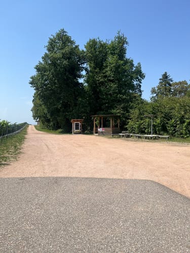 Durbacher Weinpanorama (Premiumwanderweg)
