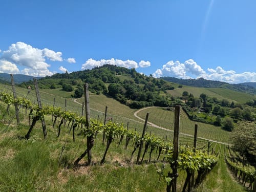 Gengenbach - Teufelskanzel - Abtsberg