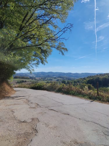 Oberer Mühlweg und Teufelslochweg