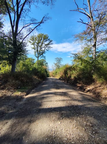 Oberer Mühlweg und Teufelslochweg