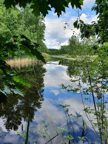 Teichrunde bei Mönau