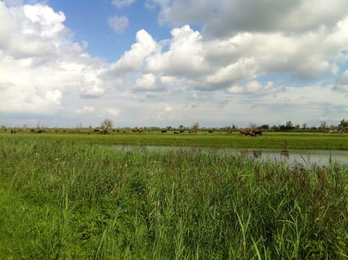 2023 Best Short Trails in Nieuw Land National Park AllTrails