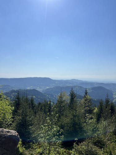 Buhlbachsee und Lotharpfad Rundwanderung