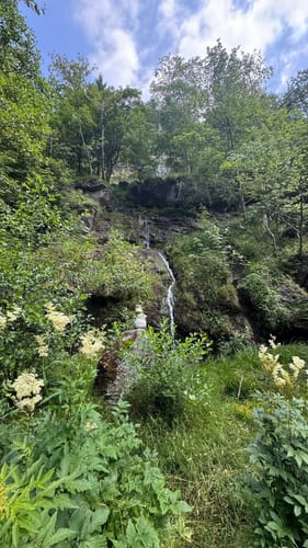 Romkerhalle - Ahrendsberger Klippen - Kleiner Steffentalskopf