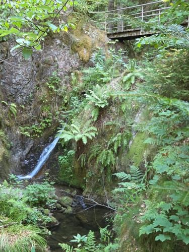 Ottenhöfen - Darmstädter Hütte - Hornisgrinde