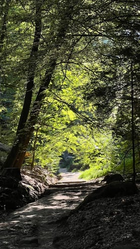 Basteirundweg Sächsische Schweiz