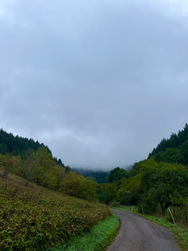 Hummelsberg Runde