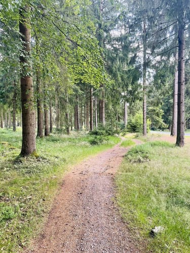 Zum Großen Finsterberg ab Stützerbach