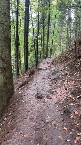 Durch das Wildromantische Monbachtal