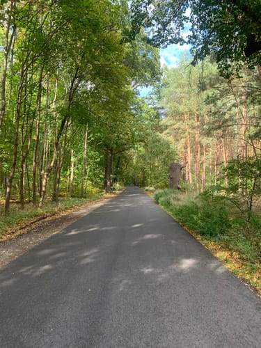 Havel-Grunewald-Runde