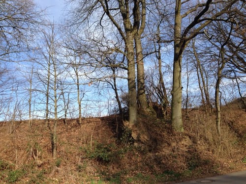 Schöllkrippen nach Jakobsthal
