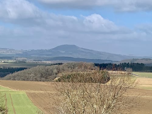 Dörferblick Schleife - Extratour zum AhrSteig
