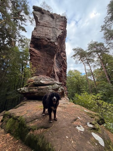 Über die Fladensteine zum Raubritternest Ruine Drachenfels