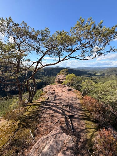 Über die Fladensteine zum Raubritternest Ruine Drachenfels