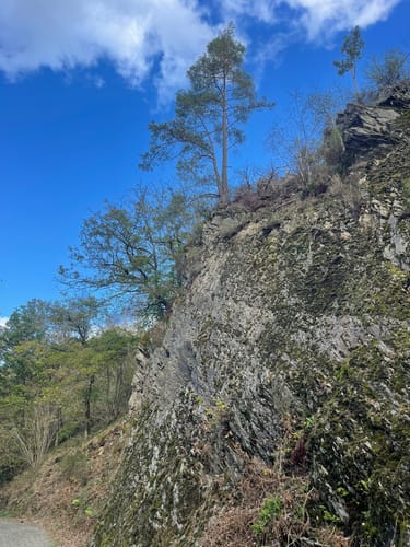 Pfad des Gedenkens