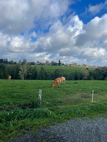 Pfad des Gedenkens