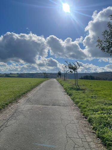 Pfad des Gedenkens