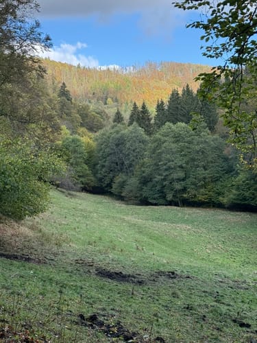 Rund um Zorge und durch das Wolfbachtal