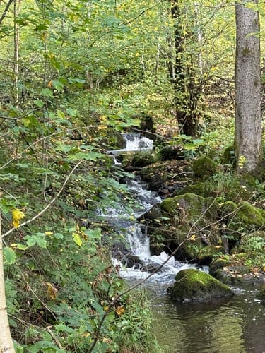 Rund um Zorge und durch das Wolfbachtal
